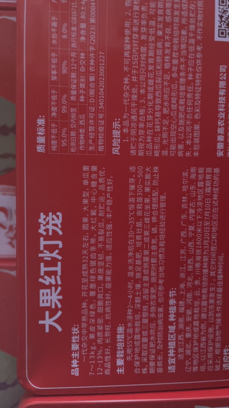 善高大国红灯笼一代杂交中早熟地雷瓜瓜大**甜不裂
