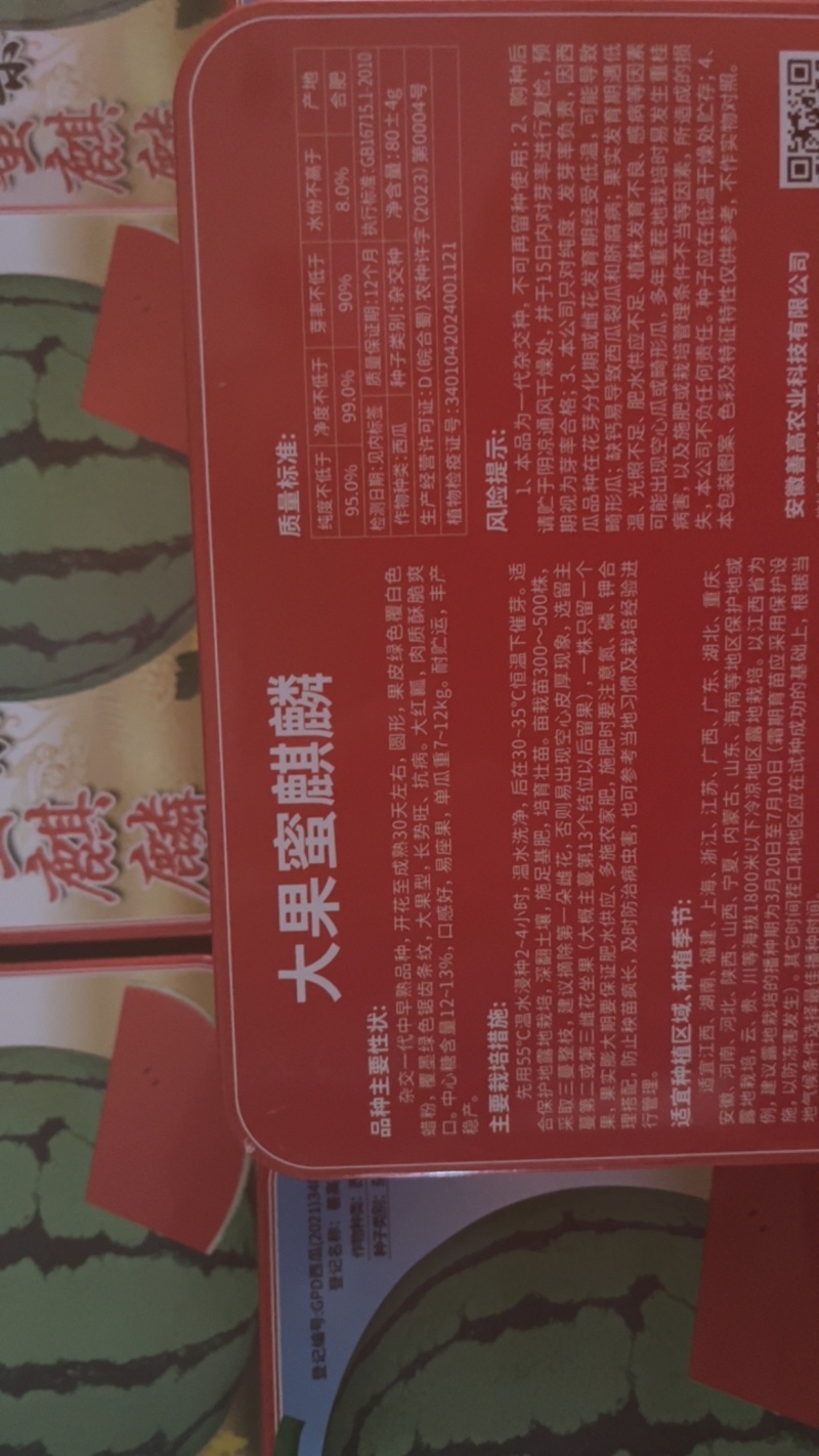 大果蜜麒麟杂交一代中早熟地雷瓜长势旺**甜
