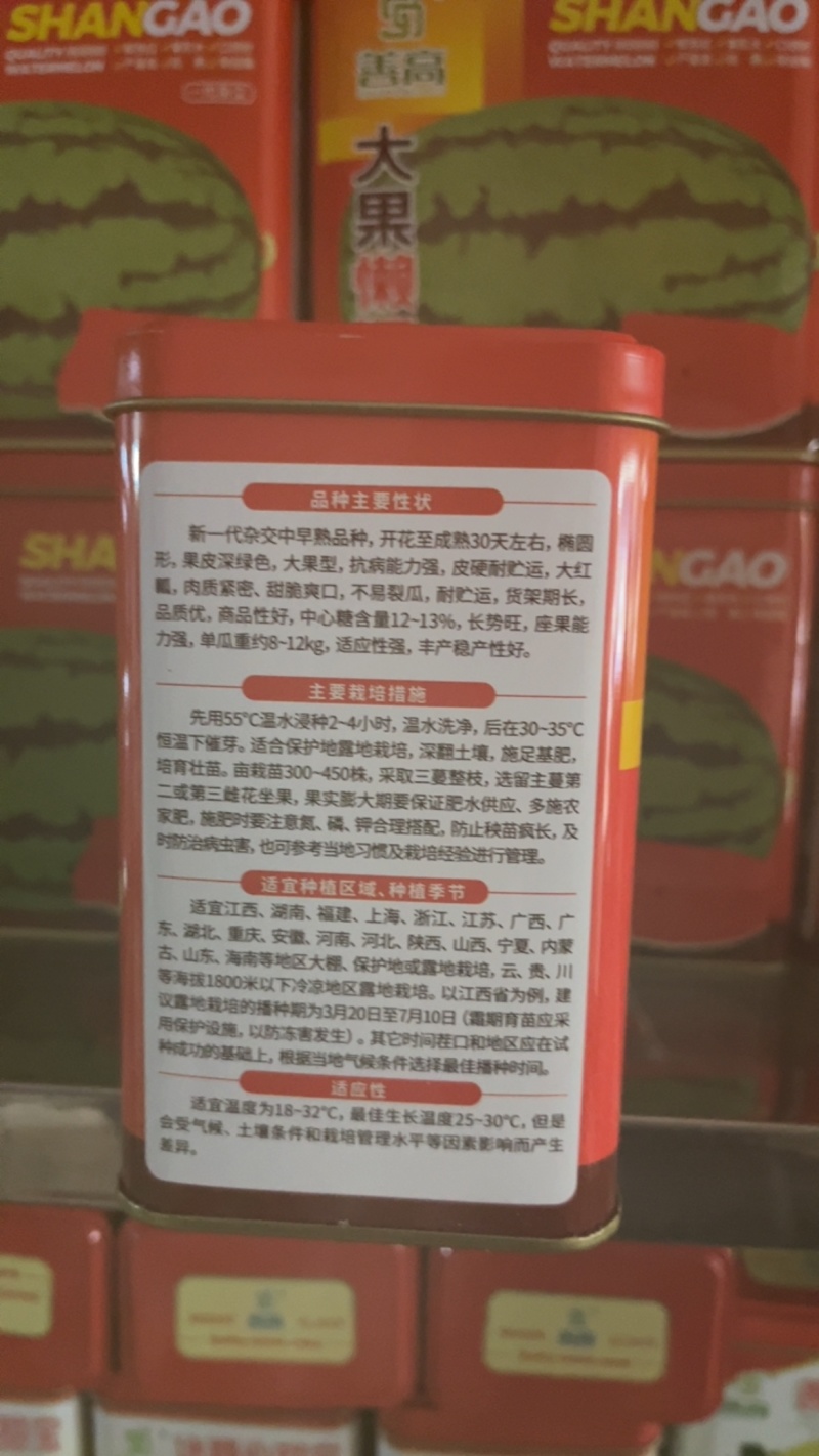 大果懒汉瓜**大瓜抗病高产超甜脆爽口耐运
