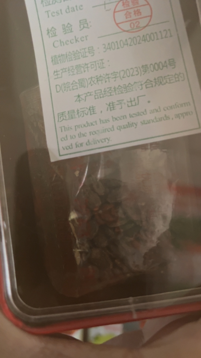 大果懒汉瓜**大瓜抗病高产超甜脆爽口耐运