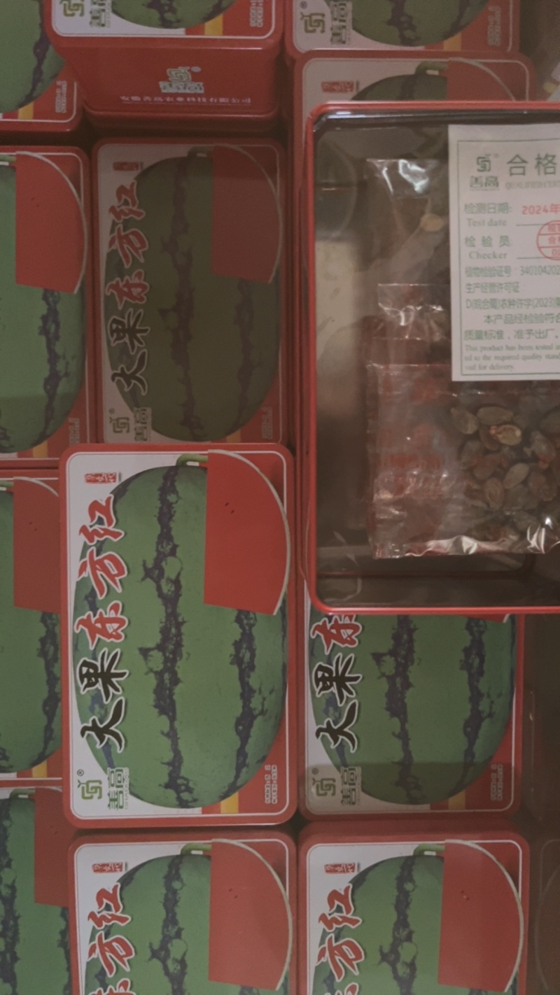 大果东方红杂交一代超大超甜**