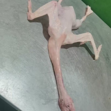 成品冻货，量大价格可以谈