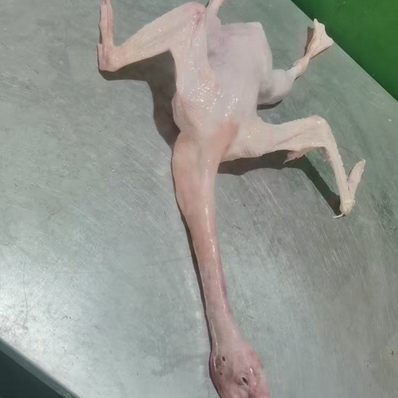 成品冻货，量大价格可以谈