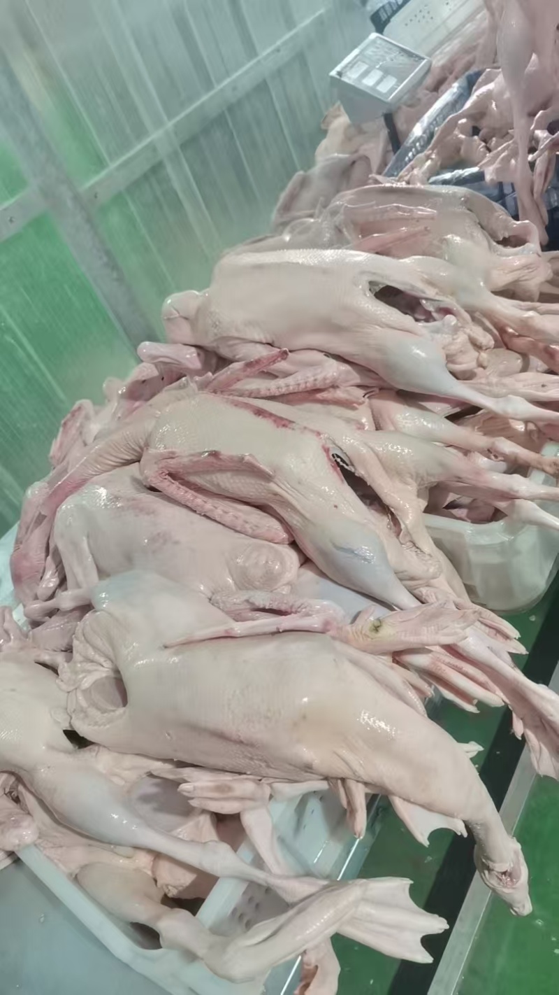 成品冻货，量大价格可以谈