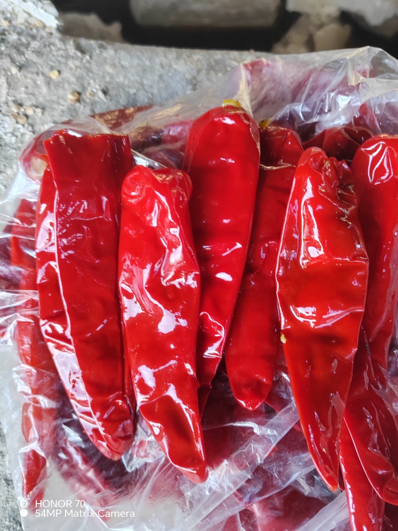 出口标准去帽腌制红辣椒大量有货挑选好的精品欢迎电话