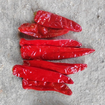 出口标准去帽腌制红辣椒大量有货挑选好的精品欢迎电话