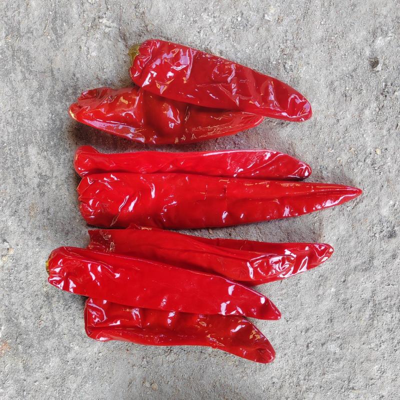 出口标准去帽腌制红辣椒大量有货挑选好的精品欢迎电话