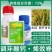吨黄金15%调环酸钙,烯效唑悬浮剂控旺控稍增产植物调节