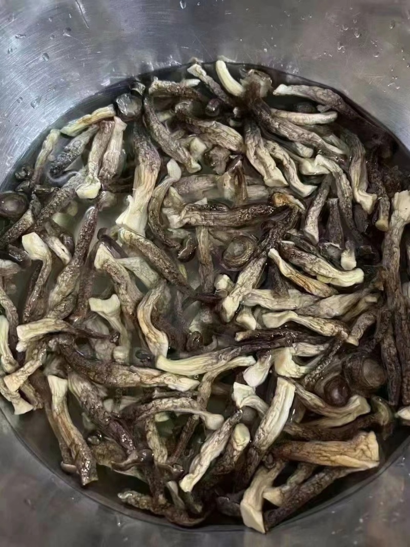 A级鹿茸菇，C级鹿茸菇，小嫩芽都有货，适合各种餐馆，零售