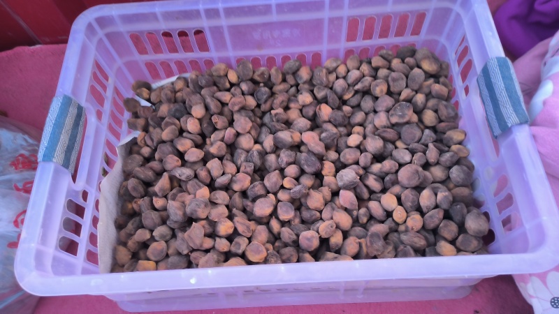 敦煌特产敦煌李广杏自然晾晒的杏干泡水零食家庭必备佳品