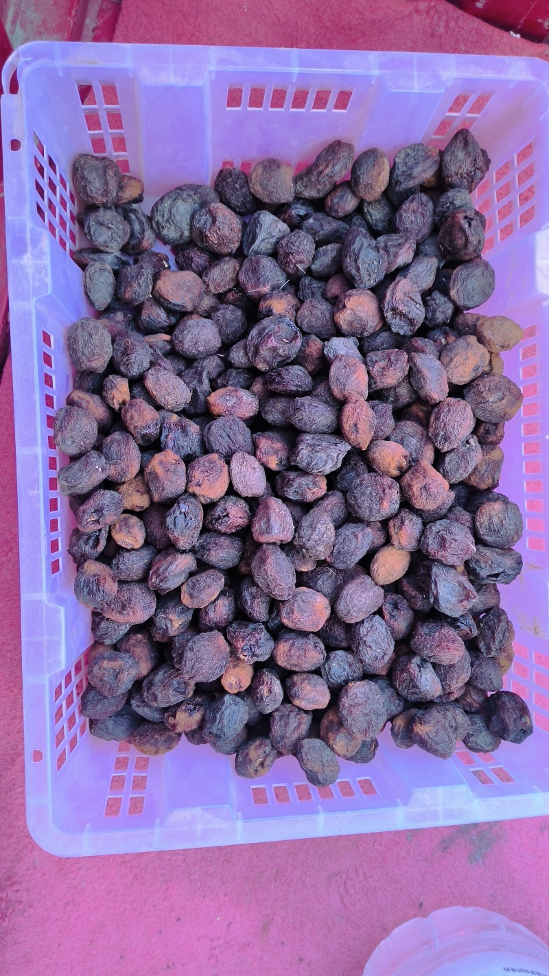 敦煌特产敦煌李广杏自然晾晒的杏干泡水零食家庭必备佳品