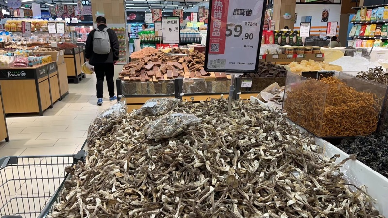 A级鹿茸菇，C级鹿茸菇，小嫩芽都有货，适合各种餐馆，零售
