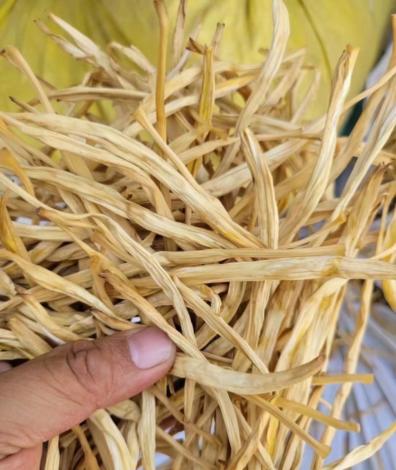 山西黄花菜,大量上市，规格齐全，品质优良，欢迎咨询