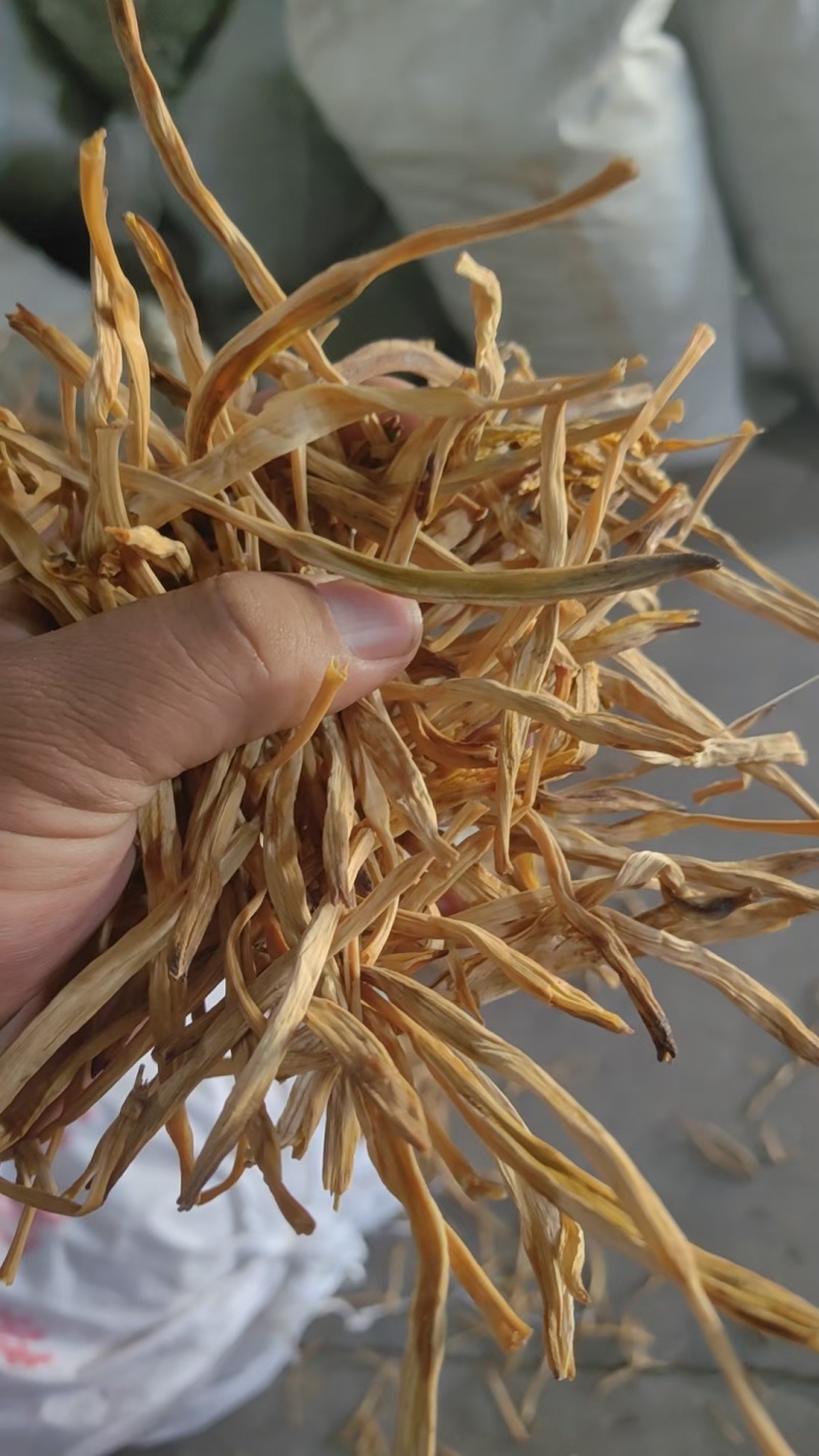 山西黄花菜,大量上市，规格齐全，品质优良，欢迎咨询