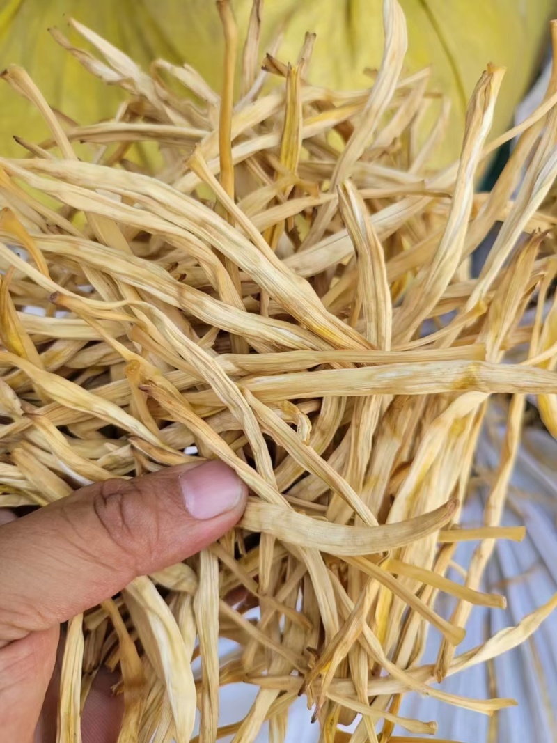 山西黄花菜,大量上市，规格齐全，品质优良，欢迎咨询