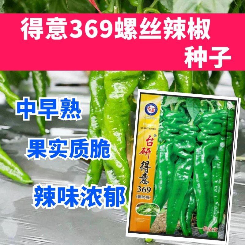 台研得意369螺丝辣椒种子中早熟果实辣味浓郁果实质脆