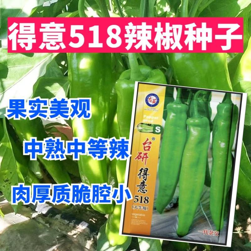 台研得意518牛角椒种子中等辣味肉质脆腔小果实光滑美观