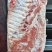 腊肉灌肠老板看过来。正一九。带肋中方，4号肉价格美丽