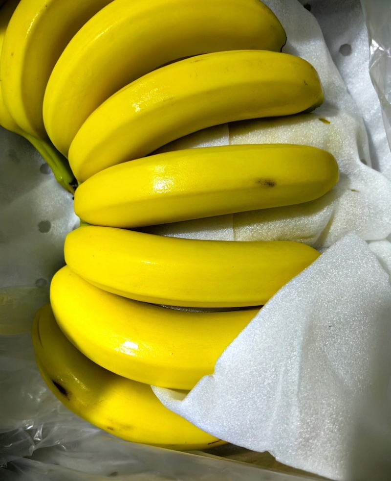 进口香蕉菲利宾越南生蕉，熟蕉价格优势比较大适合批发商超供