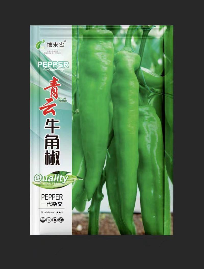 青云牛角椒种子早熟嫩果黄绿色辣味浓口感好