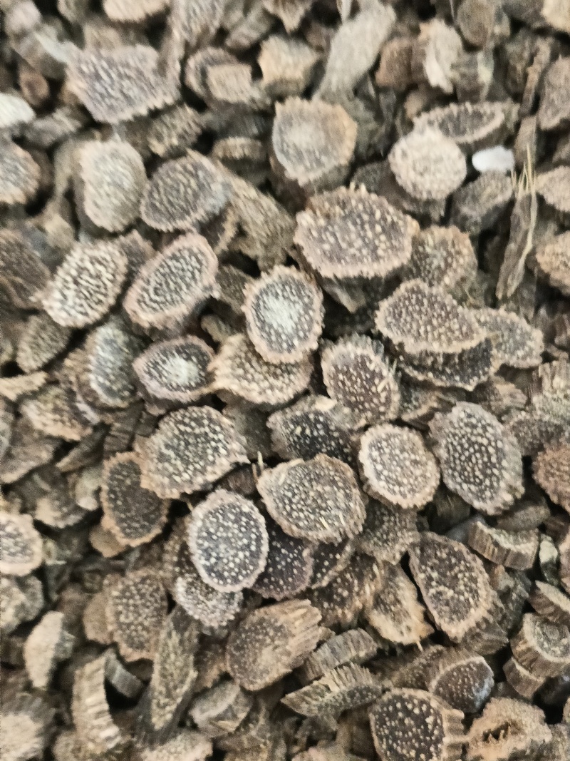 千年健中药材千年健圆片无添加高含量实物实拍