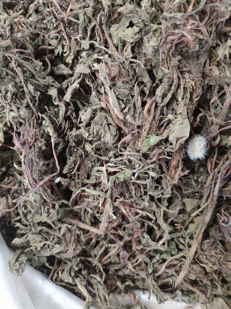 蒲公英1公斤纯野生整棵干蒲公英蒲公英茶带根带花婆婆丁新货