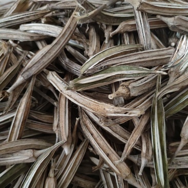 中药材晒干黄秋葵1公斤秋葵泡茶干荚金花羊角蜀葵果