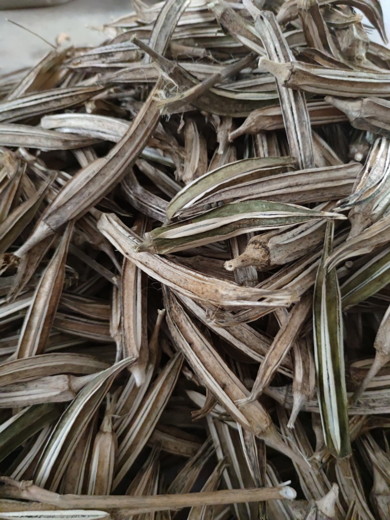 中药材晒干黄秋葵1公斤秋葵泡茶干荚金花羊角蜀葵果
