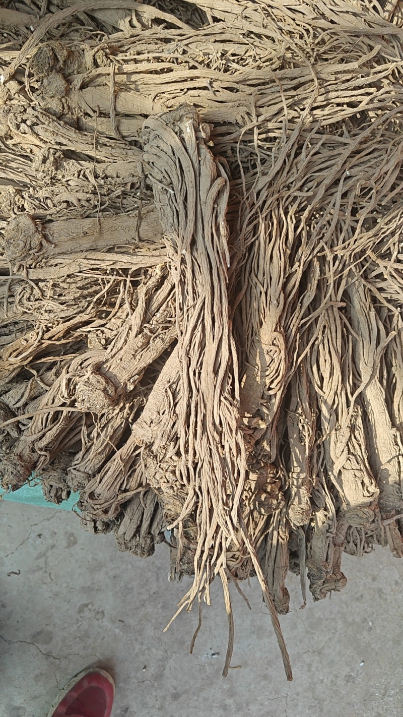 独活