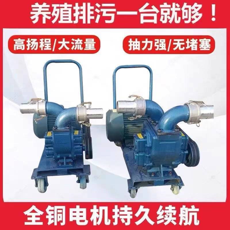 吸粪泵强力抽粪泵养殖场自吸式鸡鸭猪粪化粪池吸污泵泥浆泵排
