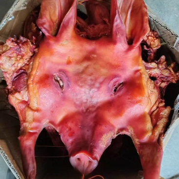 烟熏猪头肉全国供应规格齐全欢迎电话咨询