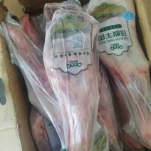 6条羊前腿