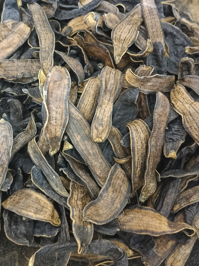 水蛭中药材水蛭蚂蟥整条吊干宽体金线清水实物实拍
