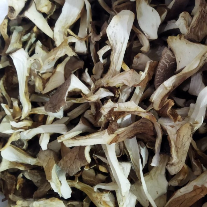 【推荐】灵芝菇，干货一手货源量大优惠欢迎咨询