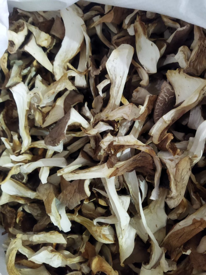 【推荐】灵芝菇，干货一手货源量大优惠欢迎咨询