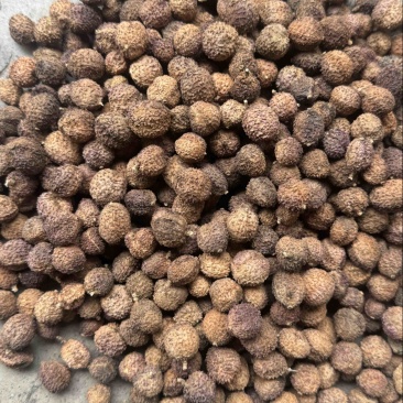 阳春砂仁干货批发零售各种规格，质量很好……