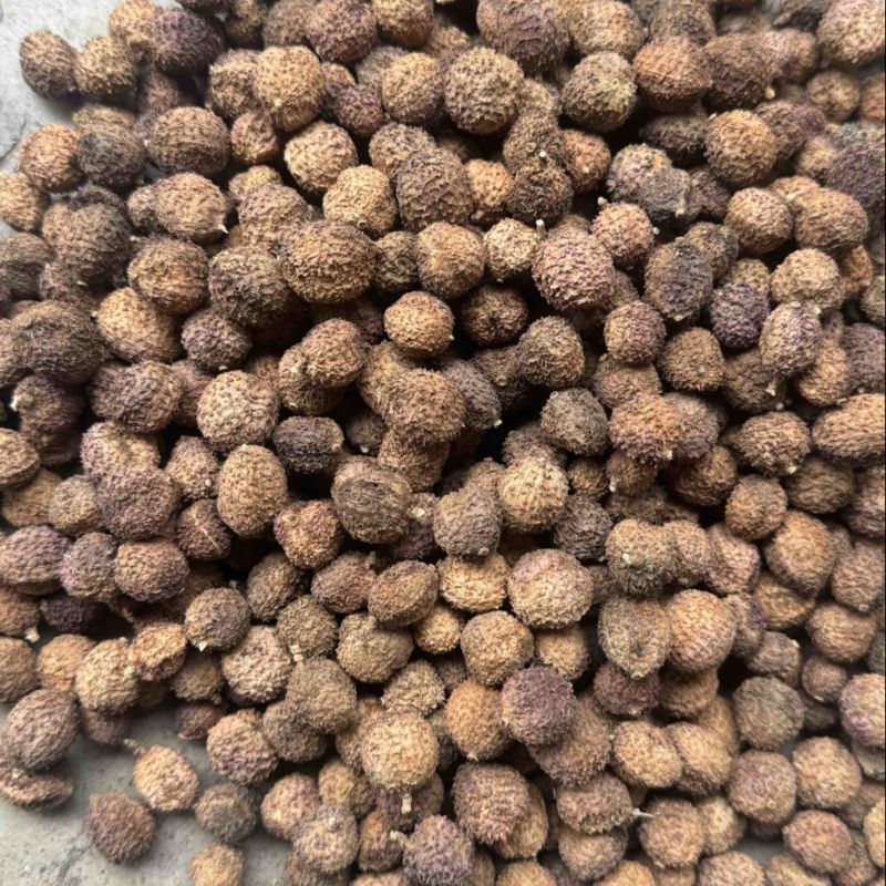 阳春砂仁干货批发零售各种规格，质量很好……