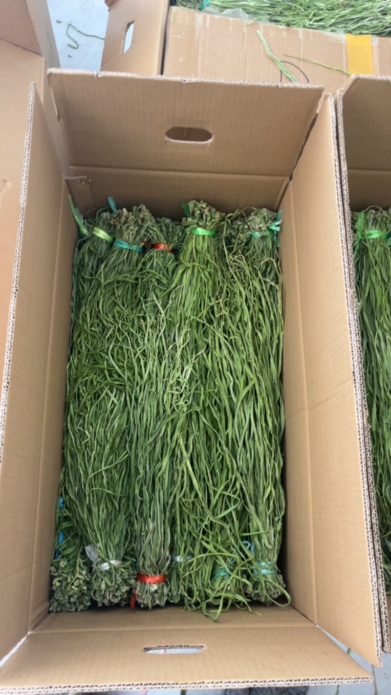 【电商专用】云南特产二级贡菜干，质量保障售后无忧