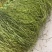 【电商专用】云南特产二级贡菜干，质量保障售后无忧