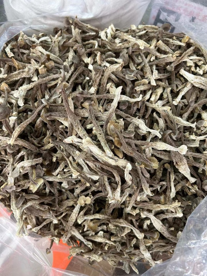 鹿茸菇干货鹿茸菇欢迎选购！量大从优！