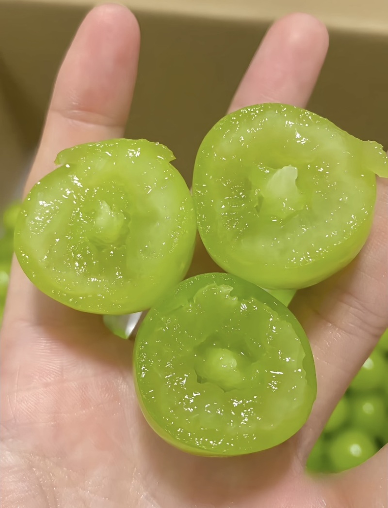 精品阳光玫瑰冷库出货供应商超批发市场稳定供货量大来谈