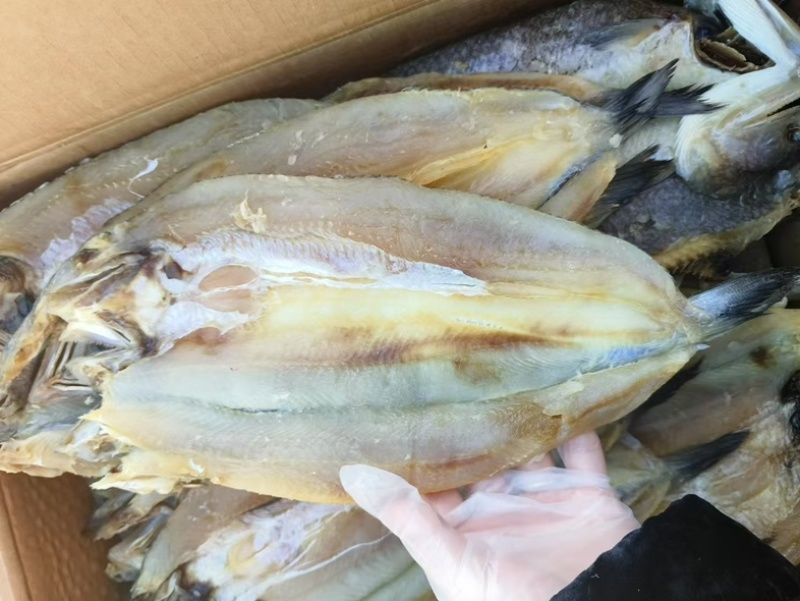 香梭鱼片、开背去内脏、常年有货、薄利多销常年供货