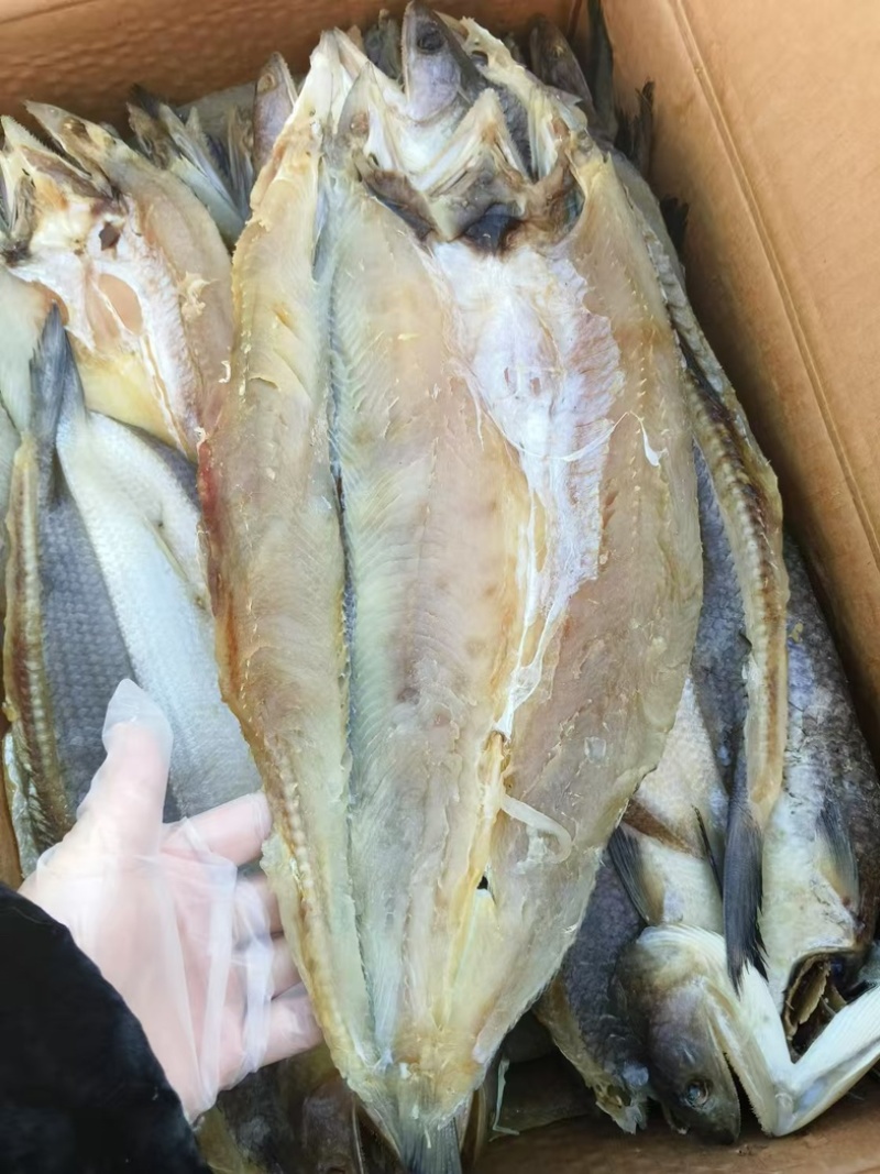 香梭鱼片、开背去内脏、常年有货、薄利多销常年供货