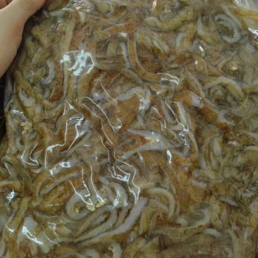 底板丝短底板丝毛肚牛杂底板渣底板边角自助餐火锅食材