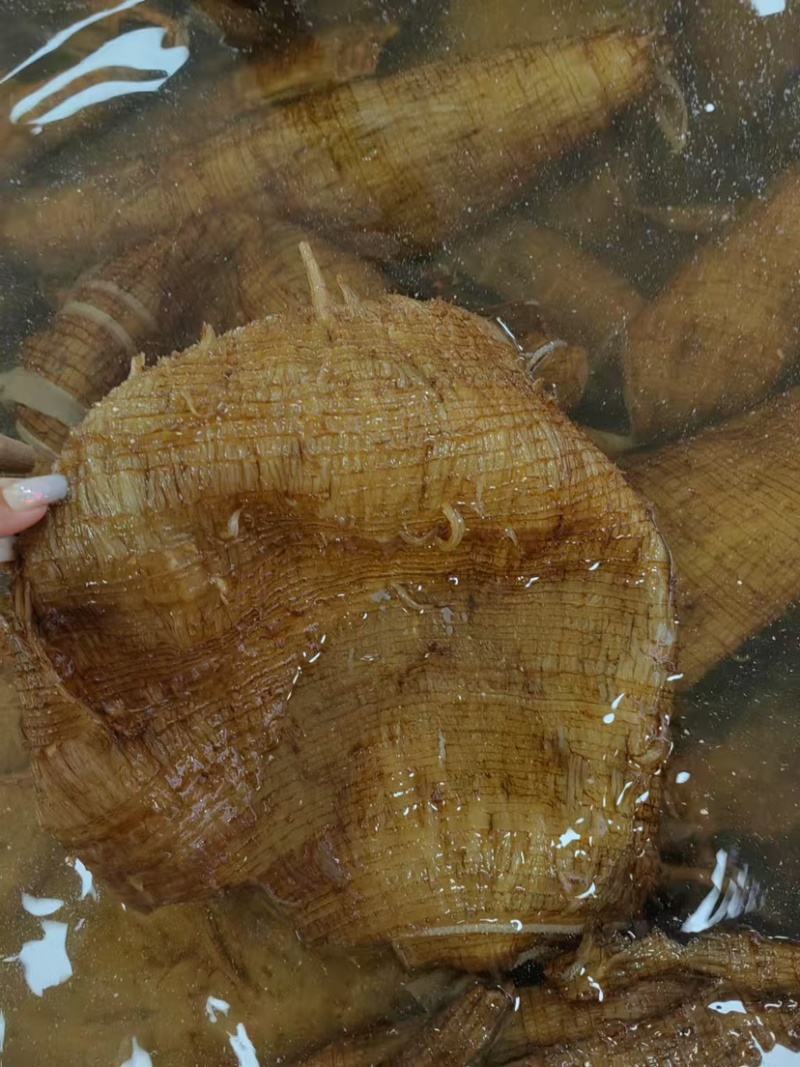 底板丝短底板丝毛肚牛杂底板渣底板边角自助餐火锅食材