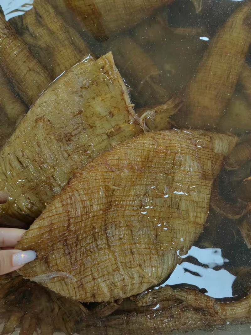 底板丝短底板丝毛肚牛杂底板渣底板边角自助餐火锅食材