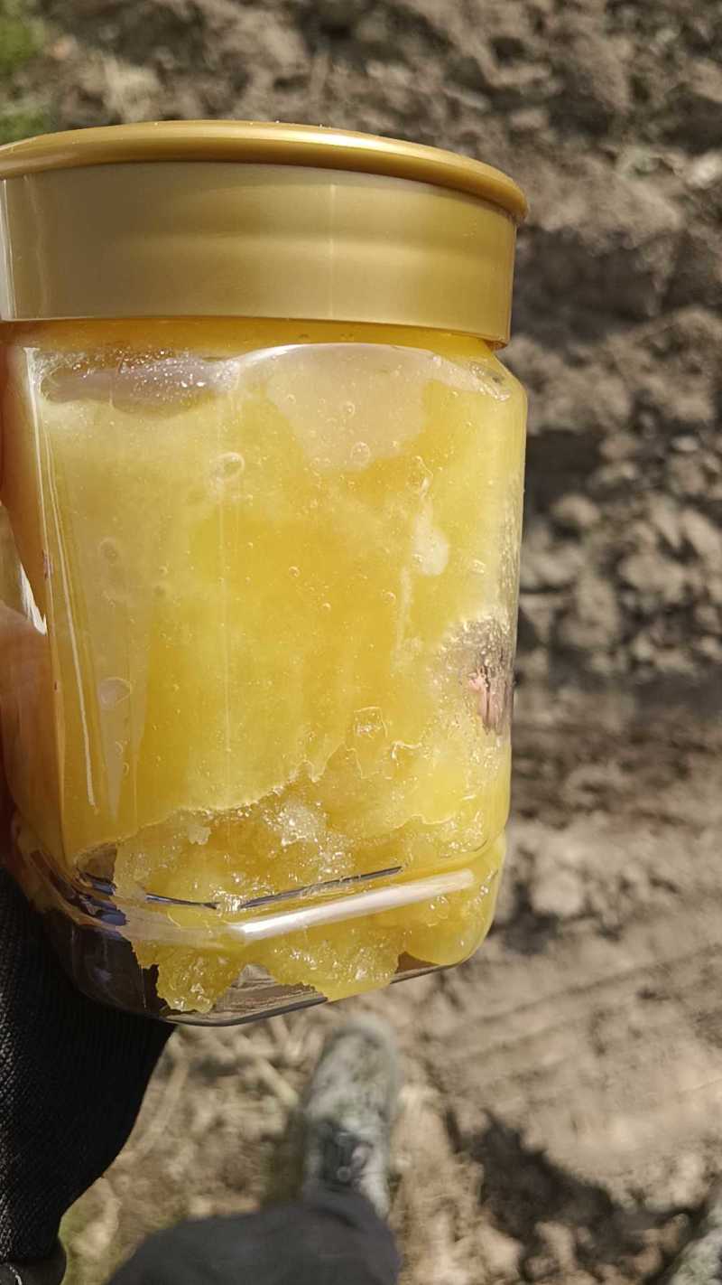精品自家土蜂蜜，一件代发