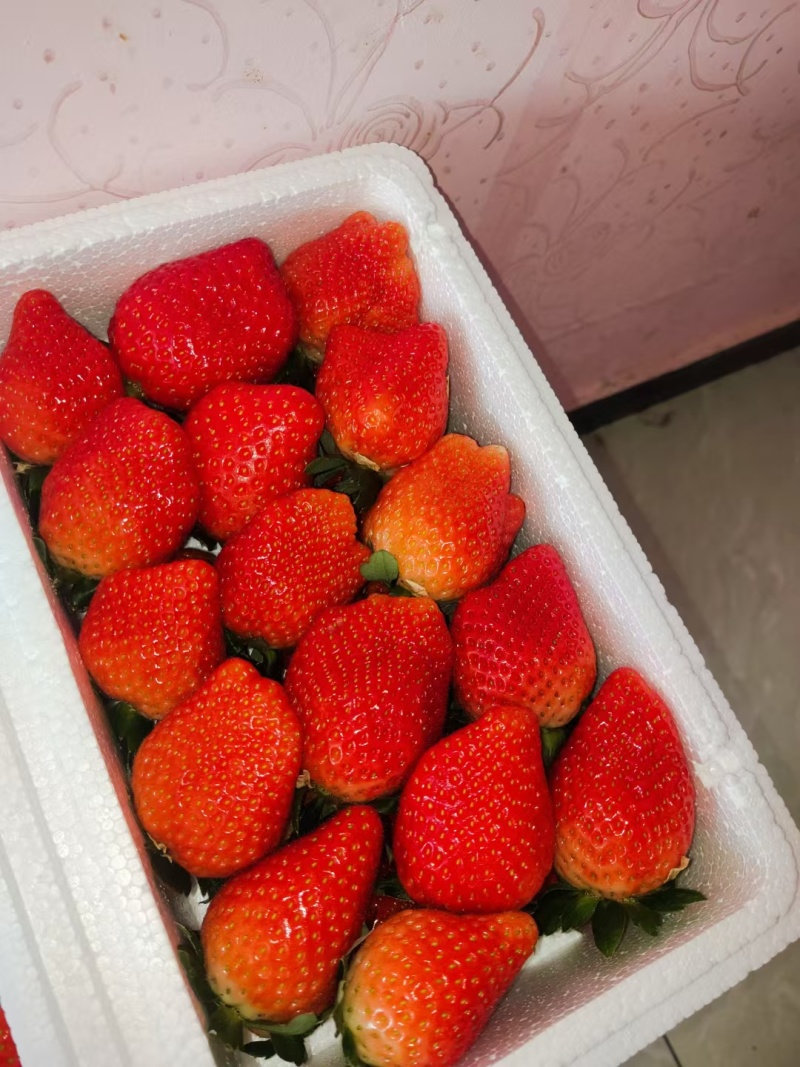 甜查理草莓