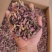 【量大优惠甘肃款冬花品质保障产地直供可视频看货对接药店药厂