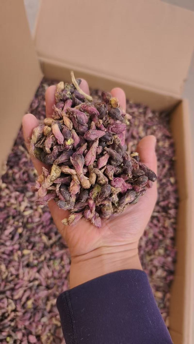 【量大优惠甘肃款冬花品质保障产地直供可视频看货对接药店药厂